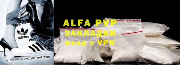 PSILOCYBIN Богданович