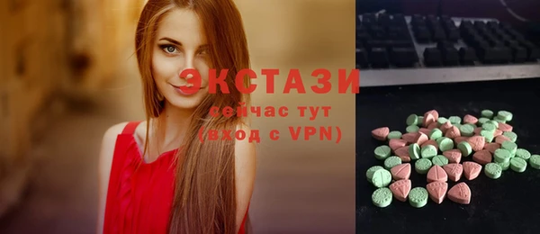 стаф Бородино