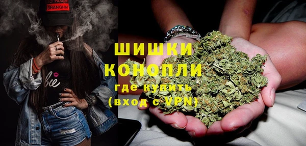 PSILOCYBIN Богданович