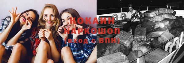 apvp Богородицк