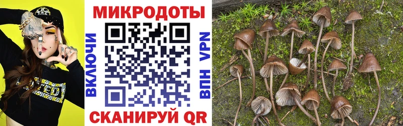 Купить закладки  Могоча  Галлюциногенные грибы мицелий 